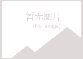 大新县盼夏能源有限公司